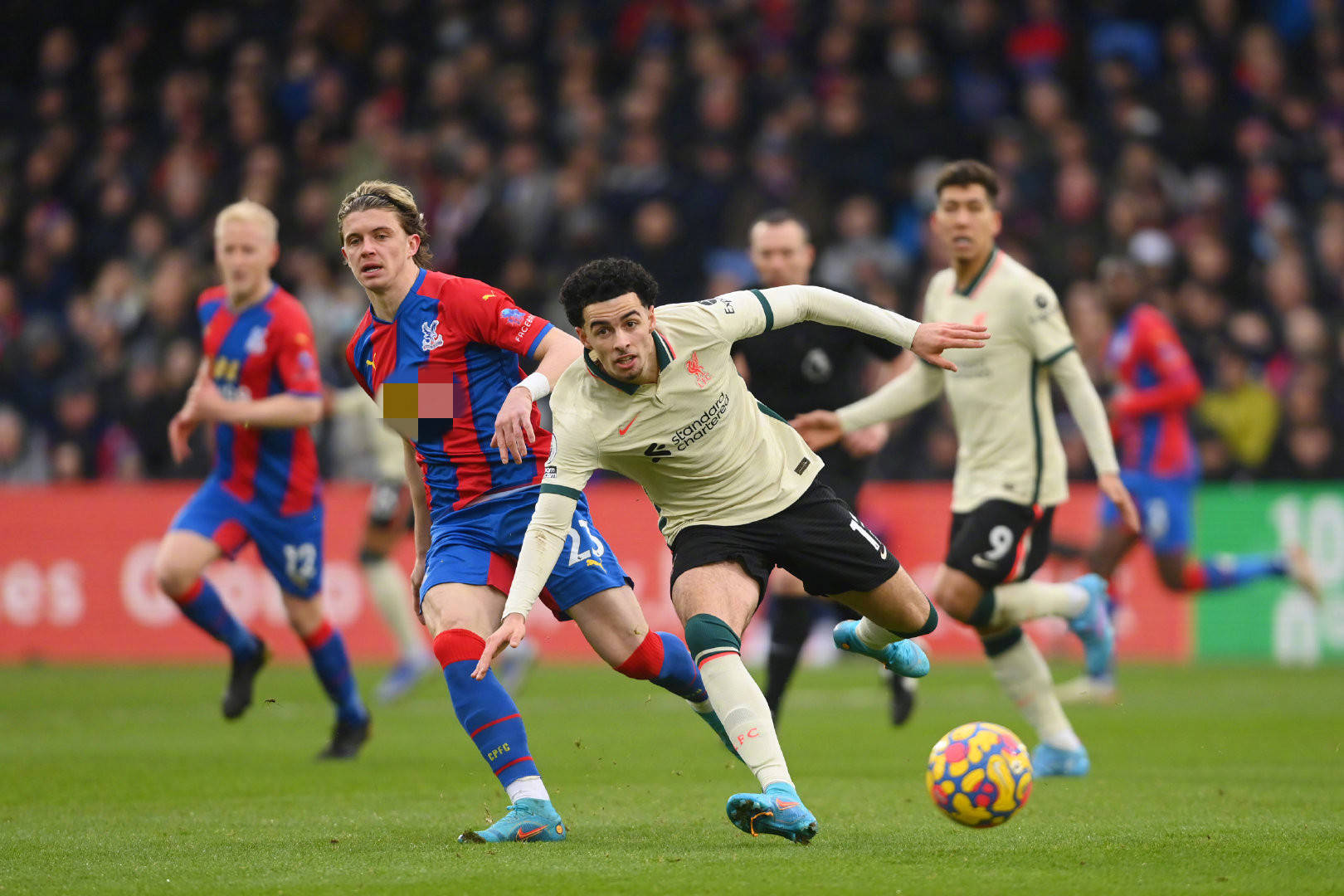 职业篮球历 职业篮球历